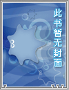 妻乃上将军